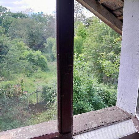 Appartement Privatif En Bord De Riviere Figeac Eksteriør billede