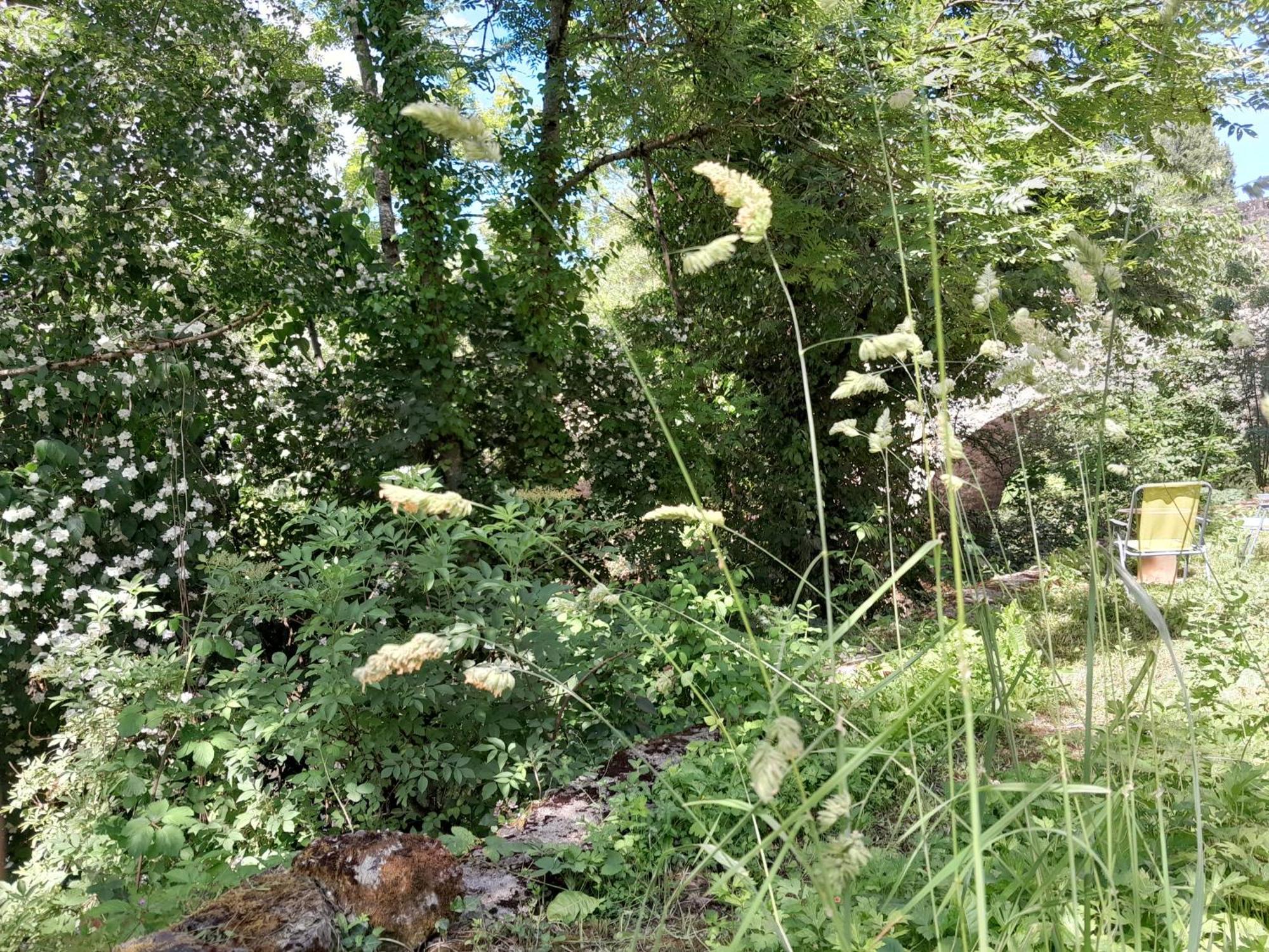 Appartement Privatif En Bord De Riviere Figeac Eksteriør billede